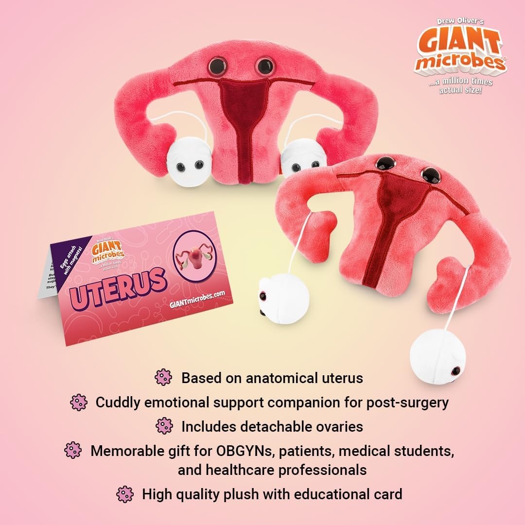 Pink plush uterus toy gift set