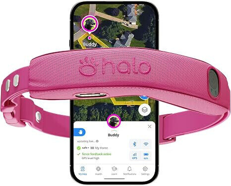 Pink Halo Collar 5 shown in front of its GPS tracking and wireless-fence mobile app